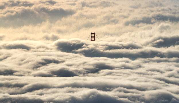 A photo from a stunning foggy sunrise on Mt. Tamalpais. 
