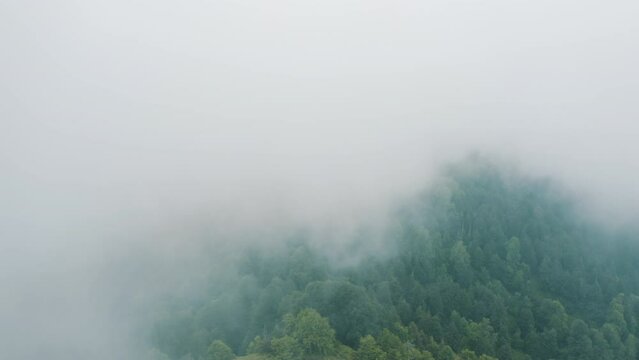 Aerial view of Forest in Zonguldak. 4K Footage in Turkey