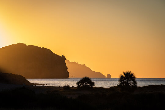The Sonoran desert of San Carlos, Mexco