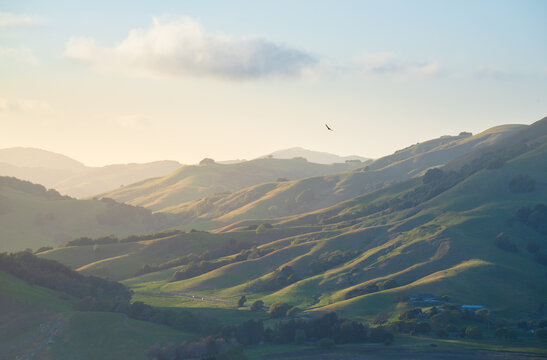 Rolling hills of Marin County, California.