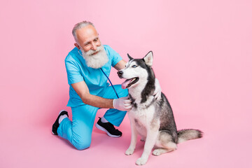 Full length photo of optimistic good specialist dressed blue uniform listen examine husky stethoscope isolated on pink color background