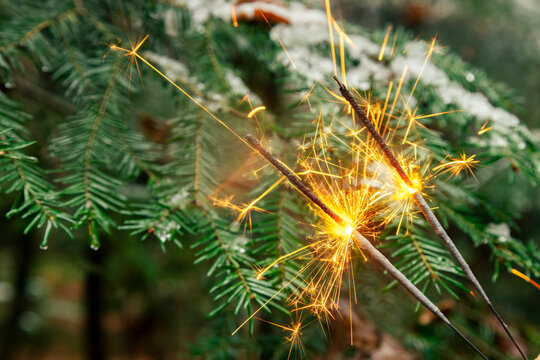 Closeup of two sparklers against pine and snow. Bright warm fire from sparkler 