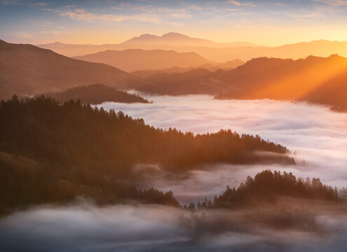 A spectacular sunrise above the fog. Taken in Northern California.