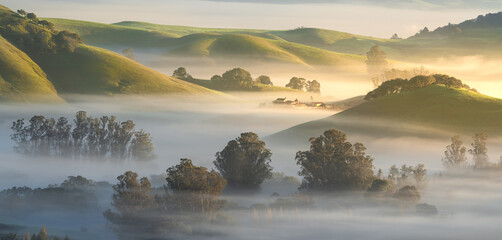 A foggy winter morning in Marin and Sonoma Counties, near Petaluma, California. 