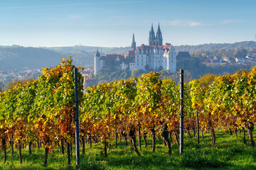 Blick über herbstliche Weinberge auf die Stadt Meissen in Sachsen, Deutschland - view over autumn...