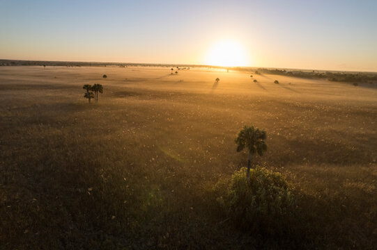 Dawn over Big Cypress