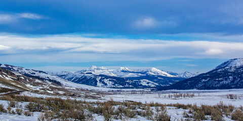 lamar valley yellowstone