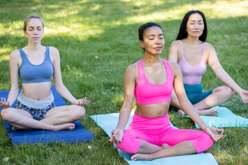 Diverse group of young beautiful girls practicing fitness outdoors in the park in summer. Concept of females going in for sport together. Asian, African American, Caucasian models. Healthy lifestyle