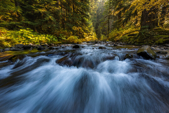 long exposure of river through green trees 