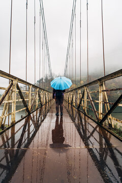 Girl with blue umbrella stands on wet iron suspension bridge in rainy weather, rear view.
