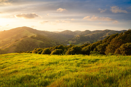 Rolling hills of Marin County, California. 