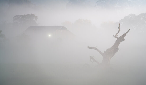 A foggy morning in the North Bay, California.