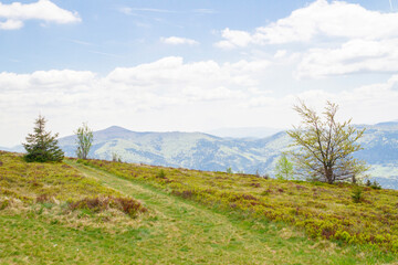 Peak of the Ćwilin mountain in Beskid Wyspowy (Lesser Poland) Szczyt 