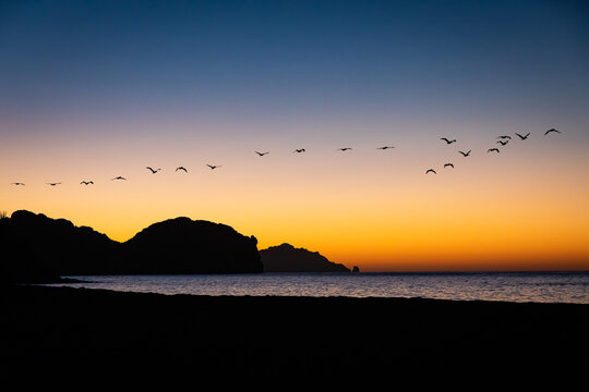 The Sonoran desert of San Carlos, Mexco