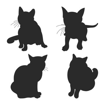 Silhouette of sitting cats in different positions, hand drawn pack of pet shapes and figures, isolated vector