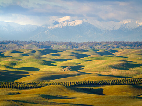 Rolling hills, California.