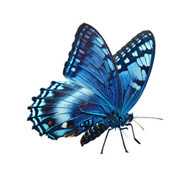 Beautiful blue butterfly isolated on a white background. Generative AI Illustration