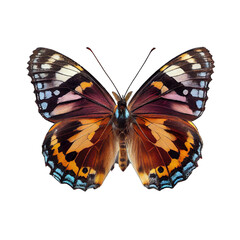 Fototapeta premium Beautiful blue butterfly isolated on a transparent background. Generative AI Illustration