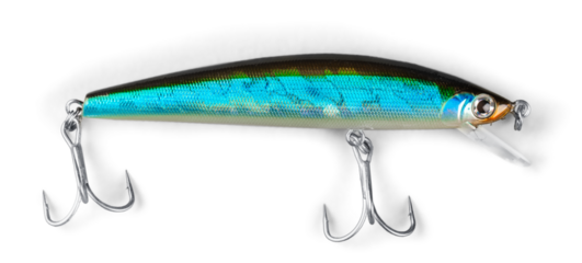 Fishing Lure