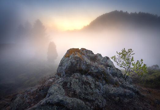 Foggy scene at sunset, in Marin County, California.