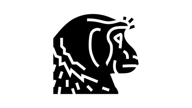 monkey animal zoo glyph icon animation