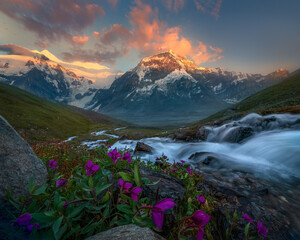 sunset over mountain with purple flowers