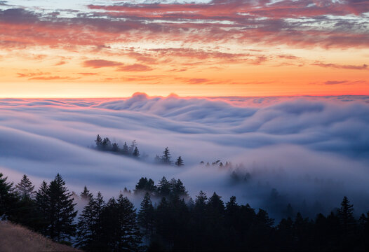 Beautiful flowing fog with clouds above, on Mt. Tamalpais, California.