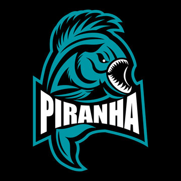 Modern fish predator piranha logo