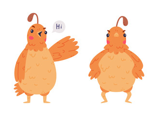 Quail Bird with Crest and Feathers Greeting and Standing with Frown Face Vector Set