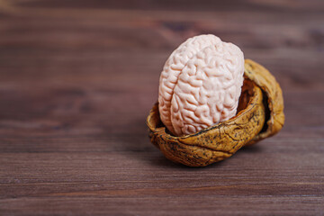 Human brain in a nut shell on wooden background