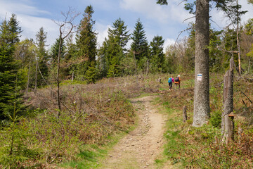 Tourists on the mountain Ćwilin Beskid Wyspowy (Lesser Poland) Szczyt "Ćwilin" w Beskidzie Wyspowym (Małopolska) © Adrian White