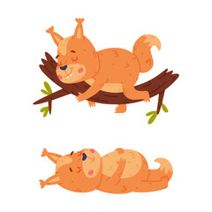 Funny Squirrel Character with Bushy Tail Sleeping on Tree Branch Vector Set