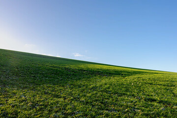Fototapeta na wymiar Landscape view of green grass field on slope hill under blue sky and white fluffy clouds, Green meadow on hilly side with warm sunlight in the morning, Nature background, Free copy space for your text