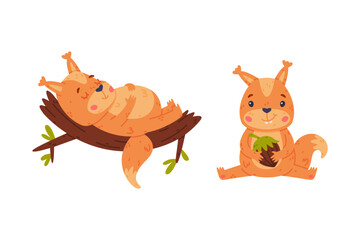 Funny Squirrel Character with Bushy Tail Sitting with Acorn and Sleeping on Tree Branch Vector Set
