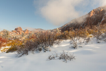 Bushes with autumn colored foliage raise their branches up out of the snow towards a blue sunny sky...