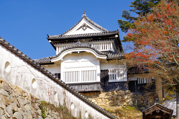 秋の青空と備中松山城