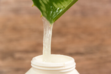 cut Aloe Vera leaf by draining into a plastic container on a wooden table