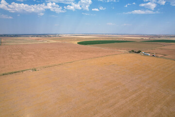 Grasslands of the Texas Panhandle, just outside Amarillo 3