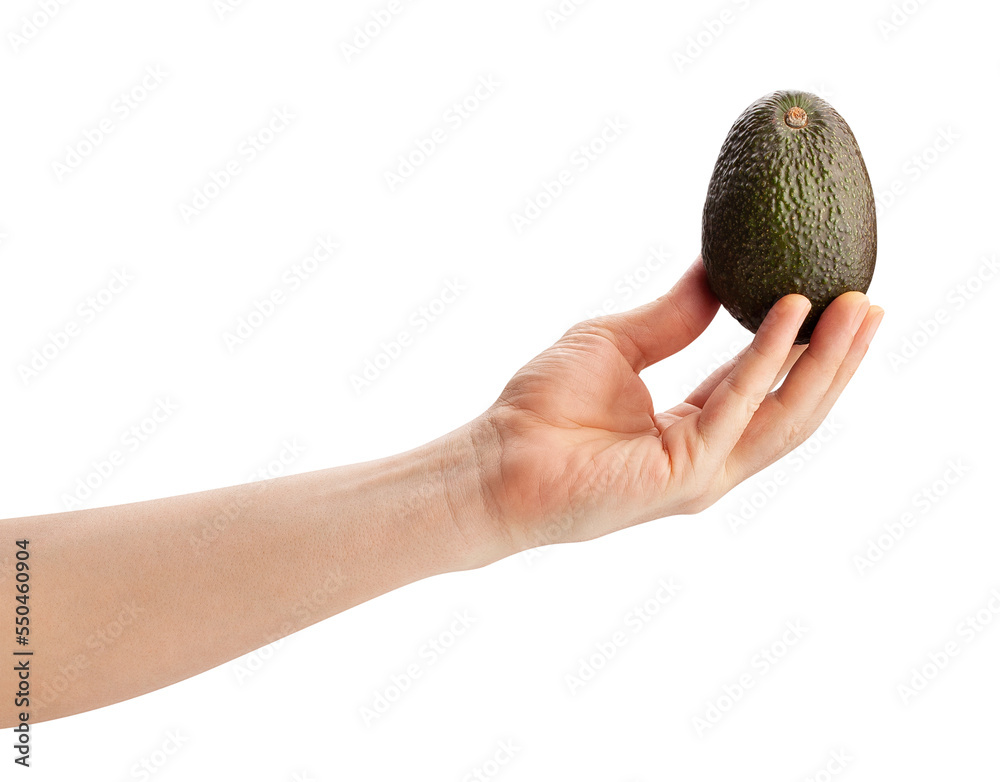 Wall mural hass avocado in hand path isolated on white