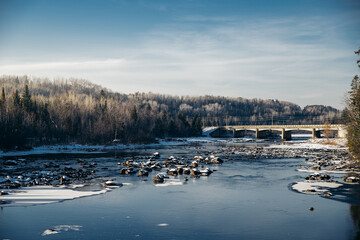 Bridge over a frozen river through a forest in winter