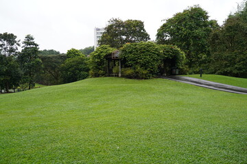 path in the park