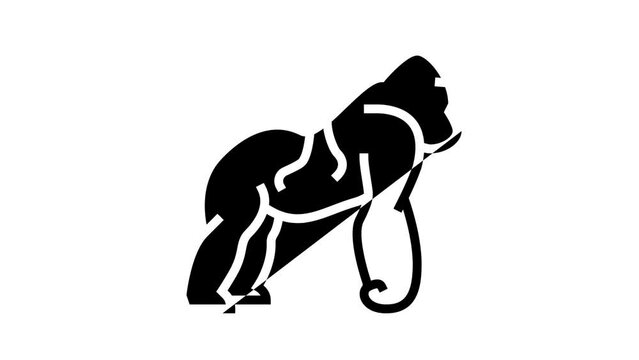 gorilla wild animal line icon animation