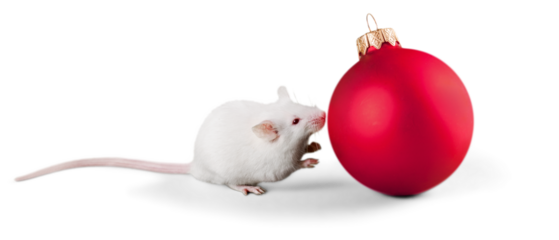 Decorative christmas ball and mouse isolated on white