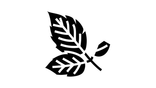 leaves raspberry fruit glyph icon animation