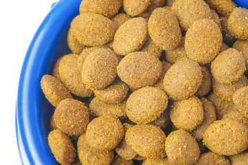 Dry food croquettes for cats or dogs in a blue bowl. Food for animals, pets.