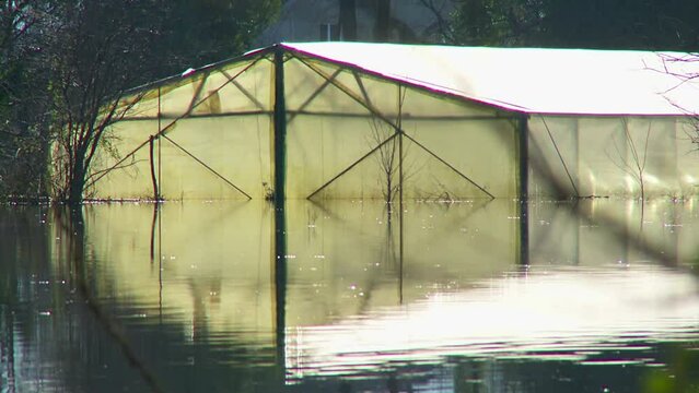 Flooded greenhouse for growing vegetables. Greenhouse in water during floods