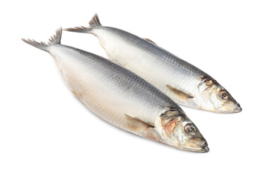 Whole delicious salted herrings isolated on white