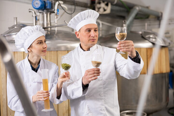 Man and woman brewmasters evaluating quality of beer components in workshop.