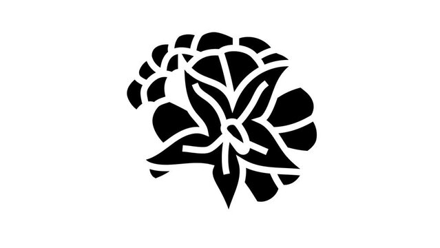 raspberry ripe delicious fruit glyph icon animation