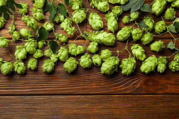 Branches of fresh green hops on wooden table, flat lay. Space for text